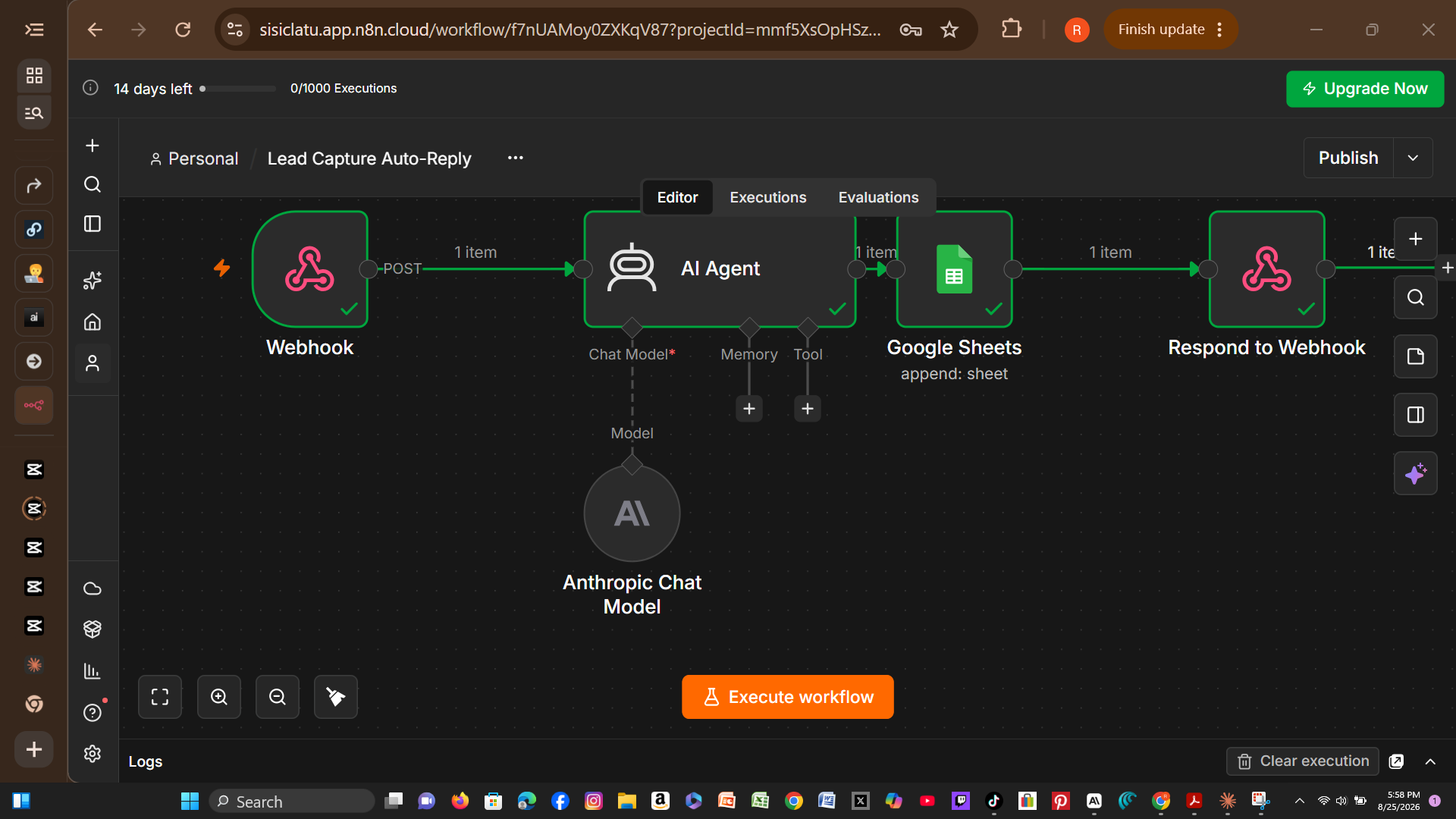 Successful Execution — Lead Capture Auto-Reply n8n automation
